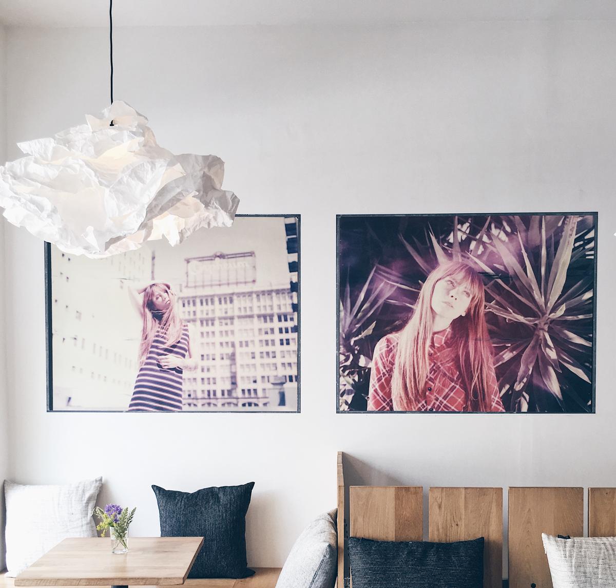 Fringe café — contact